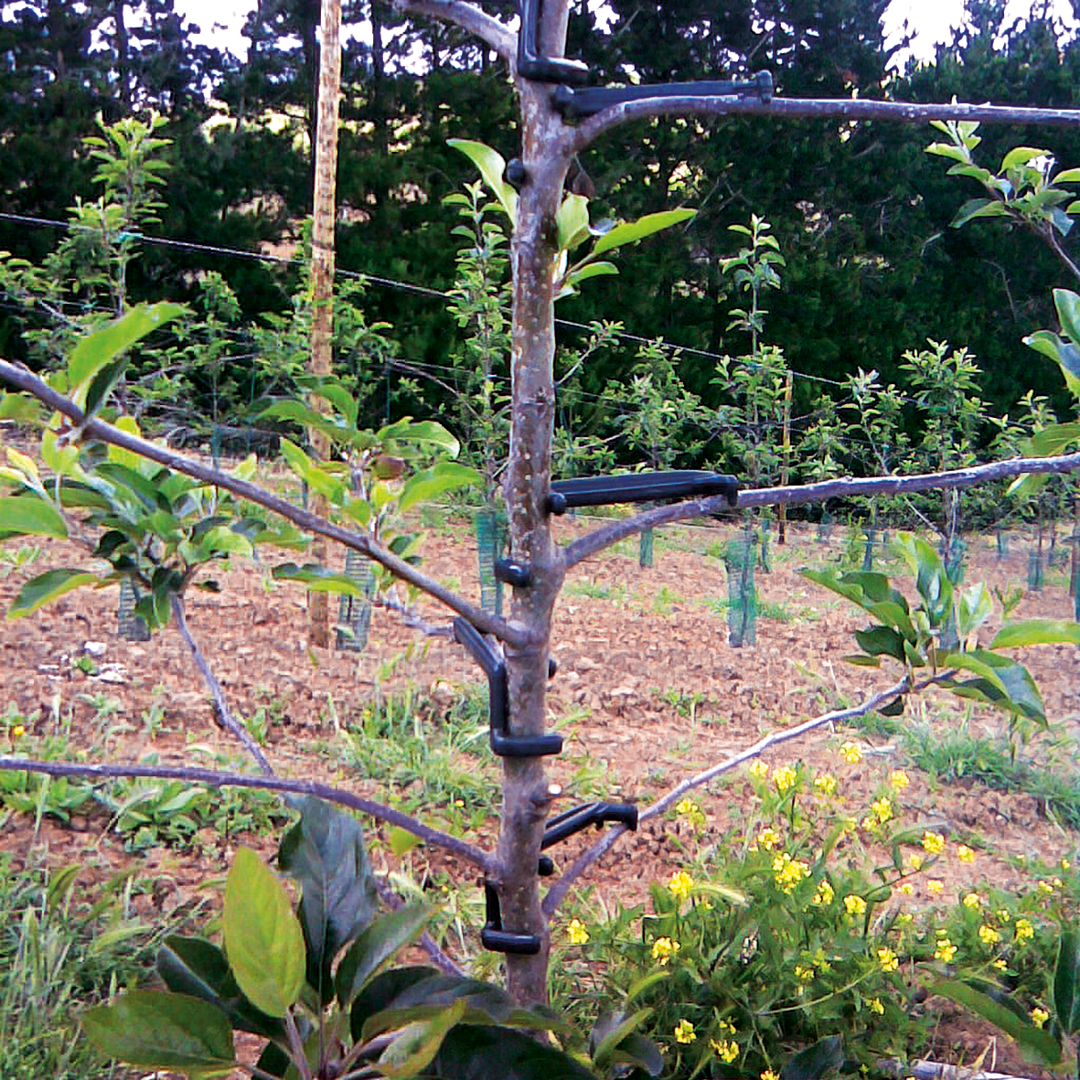 Soutien aux succursales