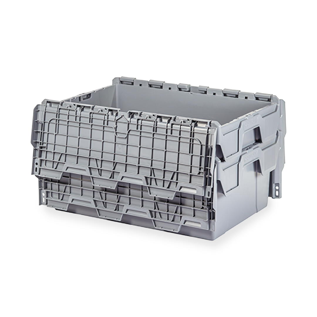 Caja Logis com tapa 6.4.24 Domplex