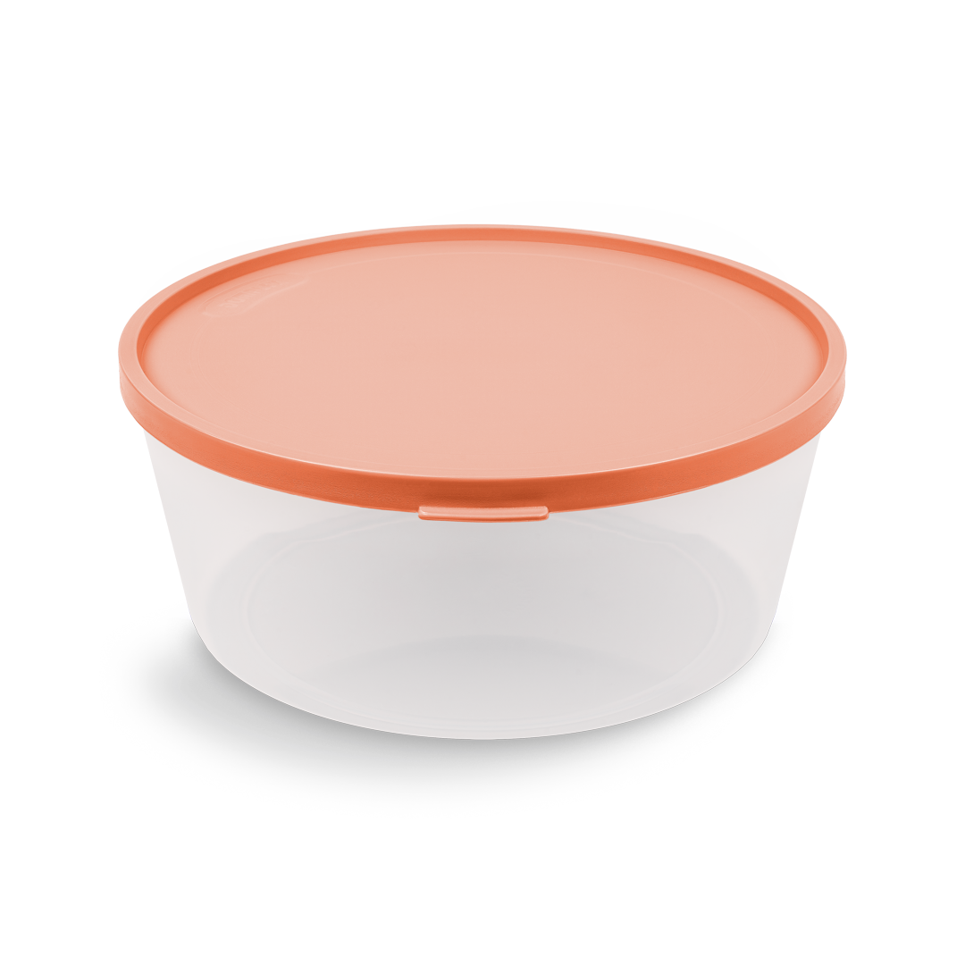 salad bowl with lid